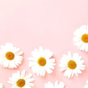 Meet your Posher, Tracie